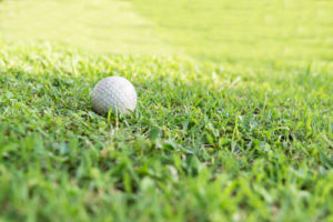 Plain White Golf Ball In A Field Of Green Grass
