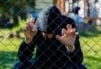 do scared straight tactics work?