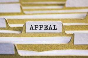 south florida appeals attorney